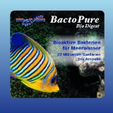 BactoPure bio digest 6 Amp.
